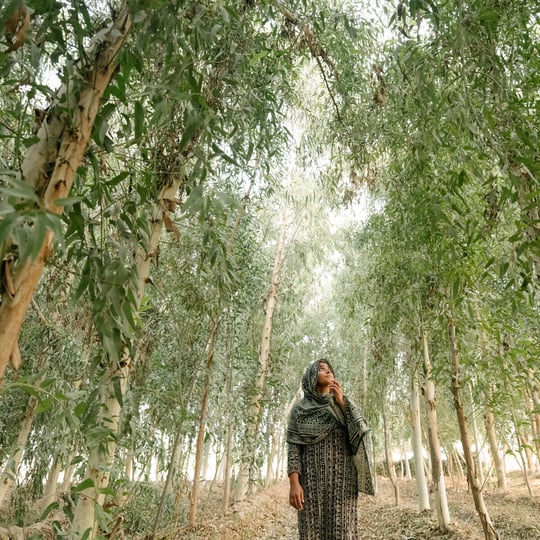  Irum Shehzadi in a field full of grown acacica trees © Matthieu Paley
