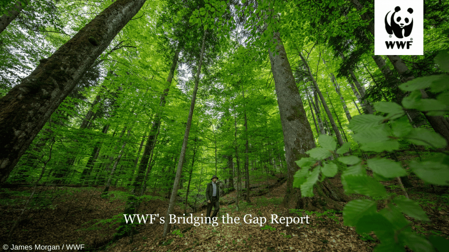 OEWG + Bridging the Gap_9areas