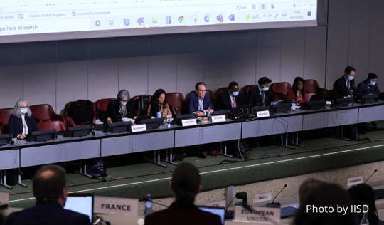 Delegates part of a Working Group on the post-2020 global biodiversity framework (WG2020)