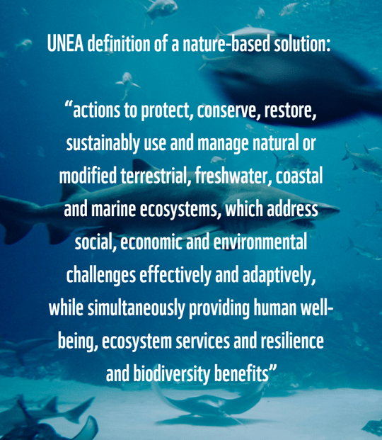 UNEA definition of a nature-based solution “actions to protect, conserve, restore, sustainably use and manage natural or modified terrestrial, freshwater, coastal and marine ecosystems, which address social, econo-1