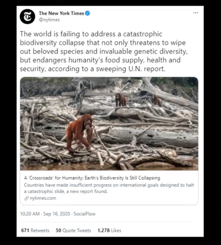 nature biodiversity tweets ecowakening v4